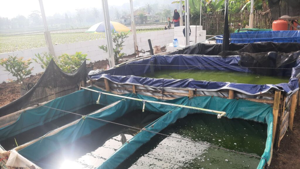 Sepi Saingan! Ini Dia Usaha di Desa yang Bikin Kaya Raya, No 3 Jangan Sampai Orang Lain Tahu