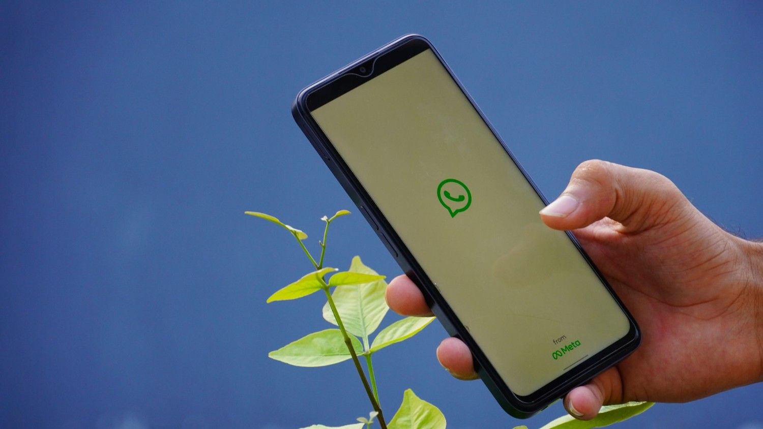 Cuma Modal Kuota, Ini Dia Cara Mendapatkan Uang di WhatsApp dengan Mudah