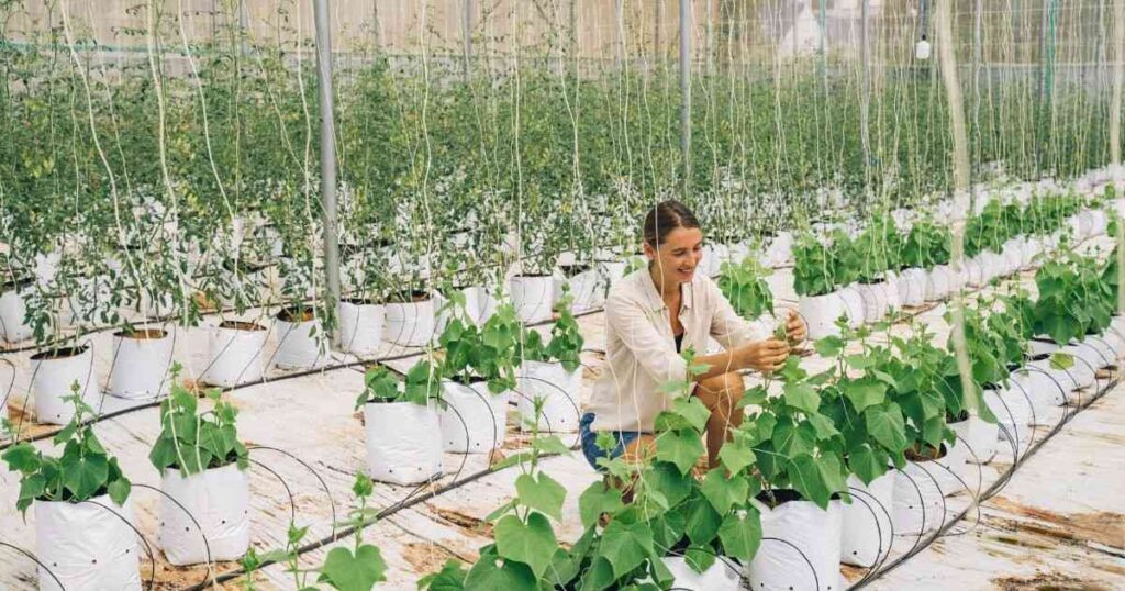 Ide Bisnis Pertanian yang Bikin Dompet Makin Tebal